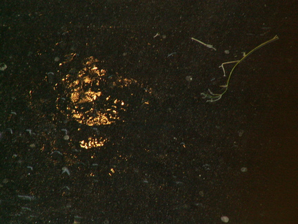 20070528 161808